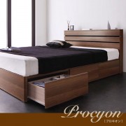 procyon_sd