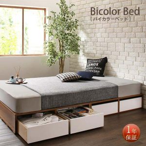 bicolorbed